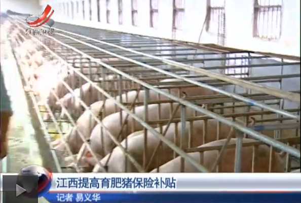 江西省提高育肥猪保险补贴 