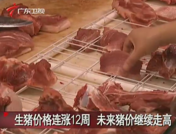 广东猪价联涨12周 涨幅16.7% 