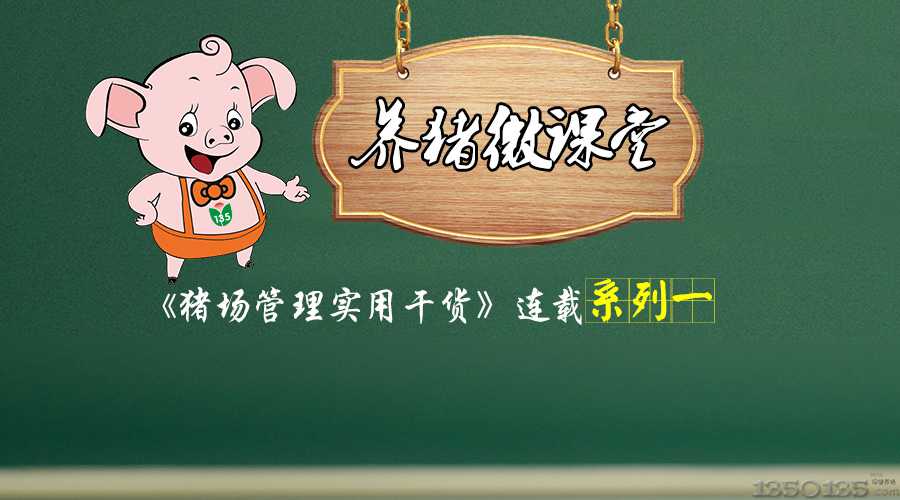 【养猪微课堂】猪场管理实用干货——种公猪饲养管理操作规程